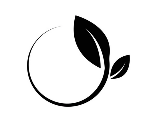 zenfitbody